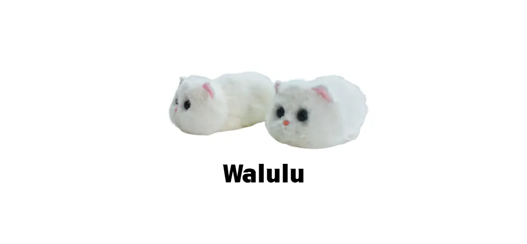 1767669472654059138.png